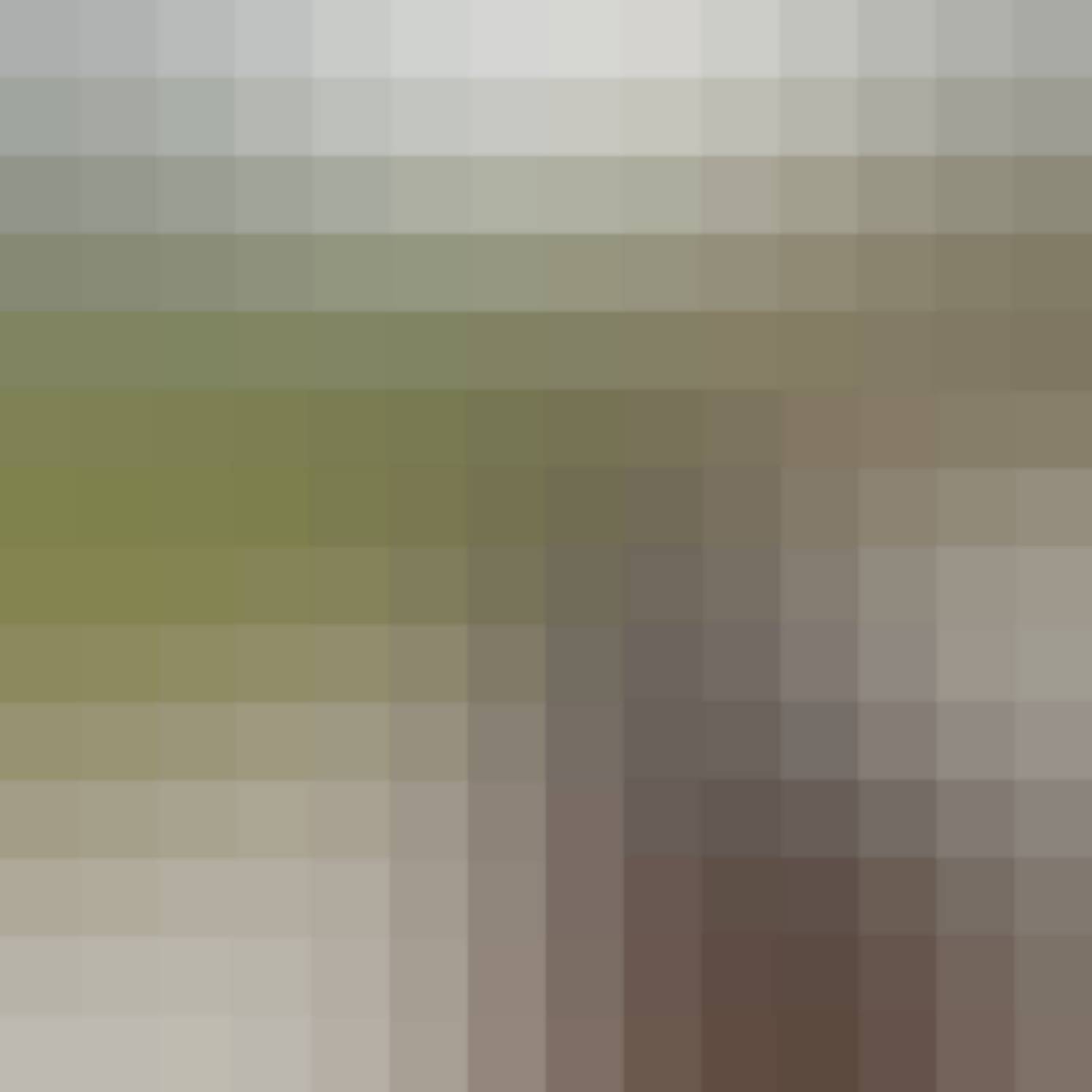 Gallery photo (locked)
