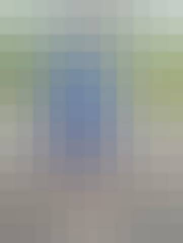 Gallery photo (locked)