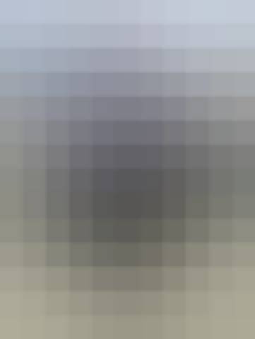 Gallery photo (locked)