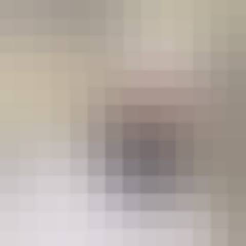 Gallery photo (locked)