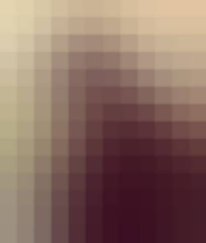 Gallery photo (locked)